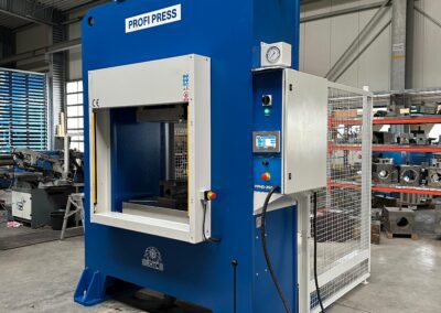 Custom 250 T Production Press